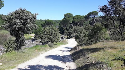 Photos of Pinar De Almorox