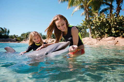 Discovery Cove - Thumbnail