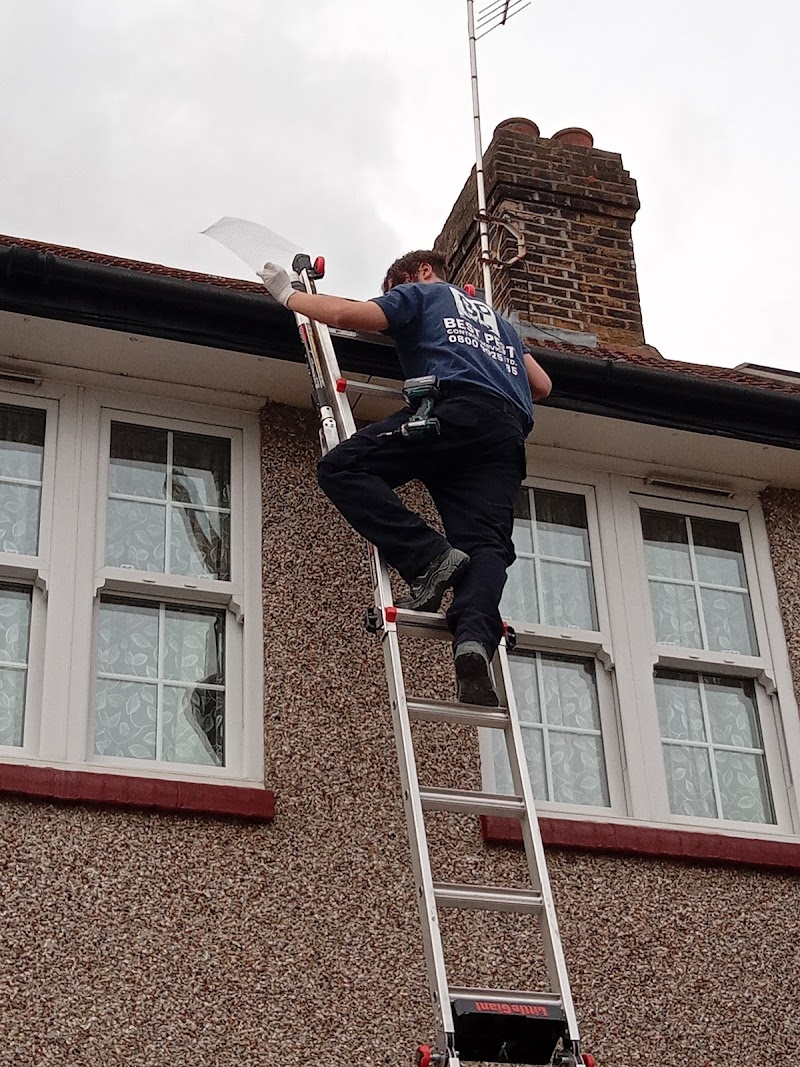 Best Pest Control Services Ltd photo 2