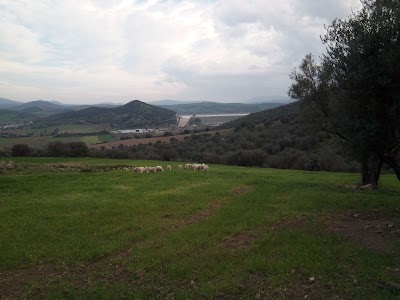 Photos of Cement hadjar-soud skikda
