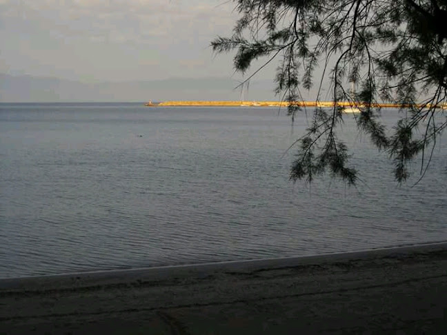 Comentarii opinii despre Artaki restaurant