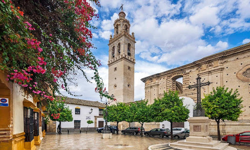 Tecnocasa Agencia Inmobiliaria