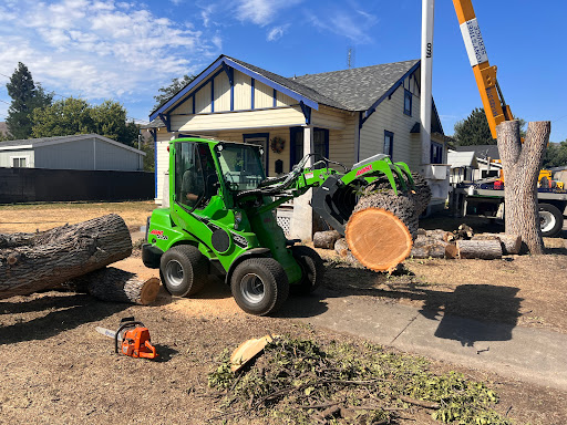 Tony's Tree Service - Thumbnail