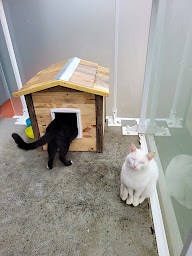 Photo n°11 de BLCréation14 à Pont-l'Évêque (Menuisier)