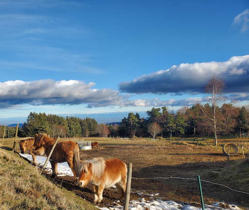 CENTRE EQUESTRE LES ECRINELLES
