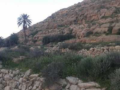 Photos of مدرسة عقبة بن نافع