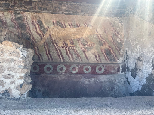 Wayak - Visual