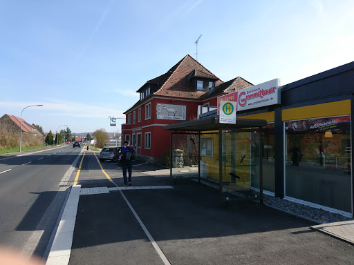 Weißes Lamm - Visual