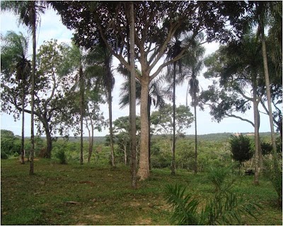 park