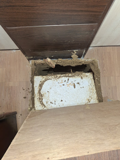 Termite treatment post image