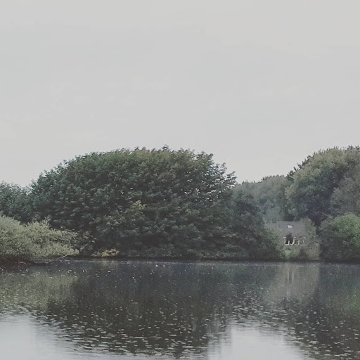 Kennedyteich - Thumbnail