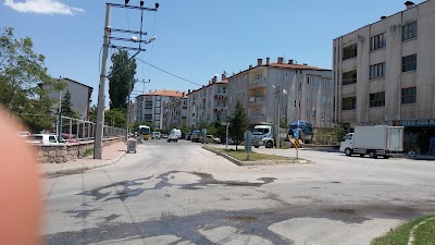 Photos of Tacin Mahallesi Camii