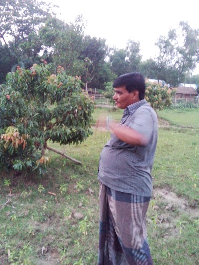 Photos of Dew Litchi Garden
