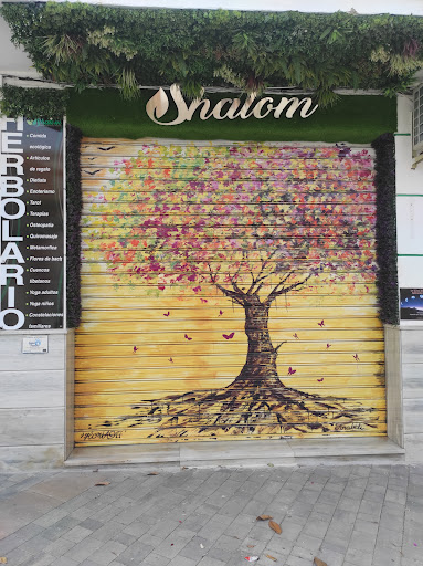 Shalom - Visual