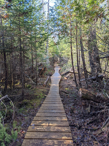 Witt's End Trail - Pleasant Street entrance/parking