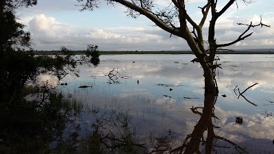 Photos of Mkhuze Game Reserve (Camping Area)
