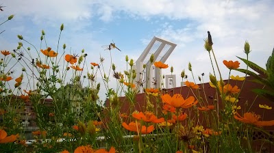 Photos of Shahid Hadis Park