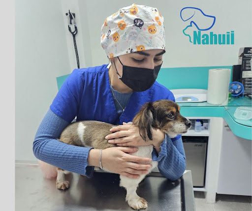 Centro Veterinario Nahuii