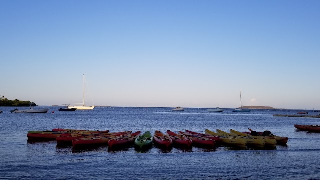 Island Kayaking Adventures