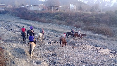 Photos of Cabalgatas Del Sol
