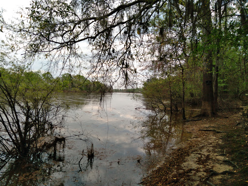 Deens Landing - Thumbnail