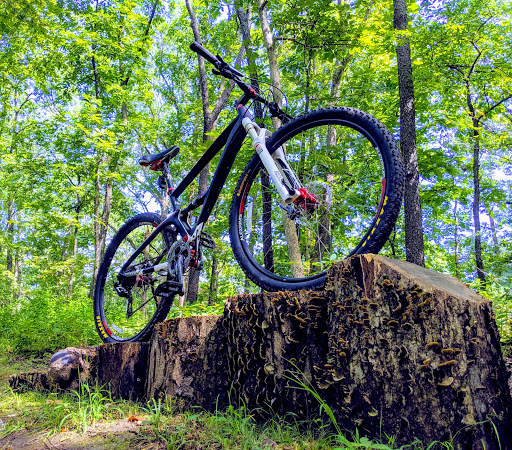 Route 66 Hike & Bike Trail at Lake Lou Yaeger