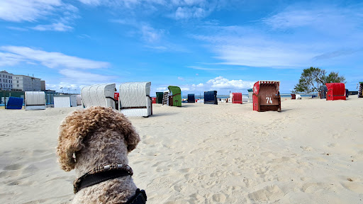 Hundestrand am Weststrand - Thumbnail