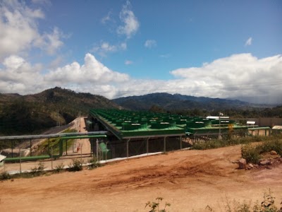 Photos of Geoplatanares San Andres
