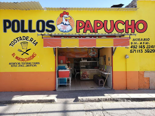 PAPI POLLO - Visual