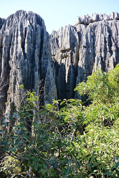 Photos of Tsingy de Bemaraha Nature Reserve