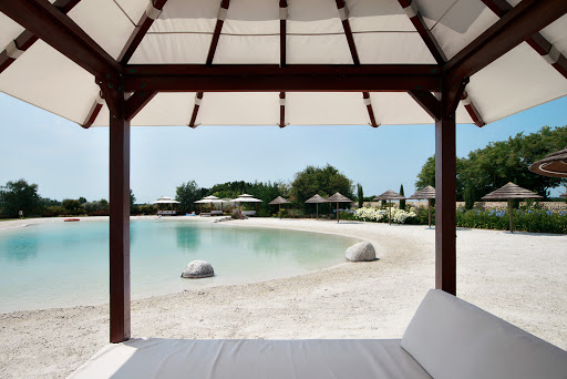Photo de Laguna Lodge Résidence à Saint-Just (17320)