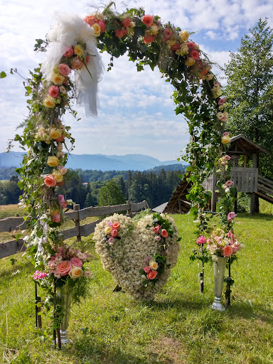 Stroblume - Visual