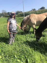 Photo n°22 de Les Sources Reconnect à Les Cresnays (Centre de bien-être)