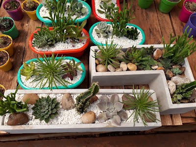 Photos of Vivero Miguel