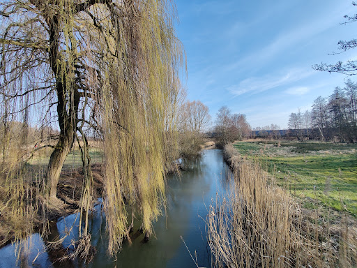 Fuhsetal - Visual