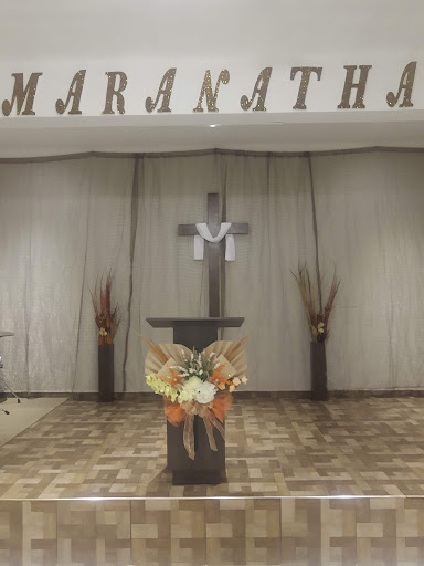 JESUCRISTO REY