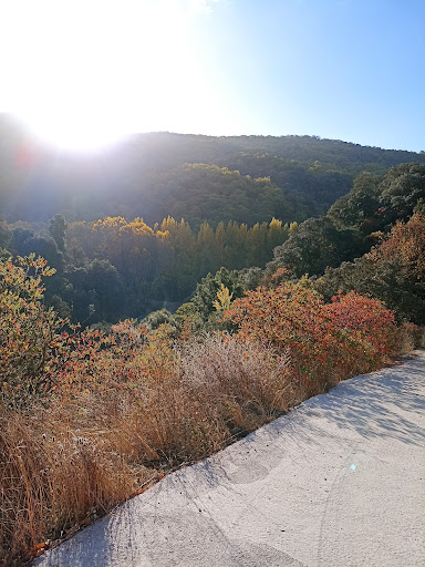 Valle del Genal - Thumbnail