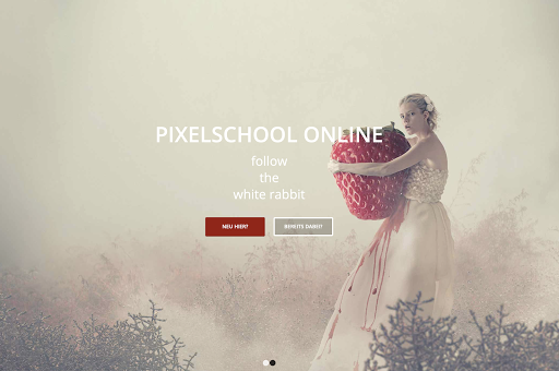 PixelSchool - Visual