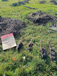 Photo n°23 de Daredard36 à Paulnay (Service d'extermination des nuisibles)
