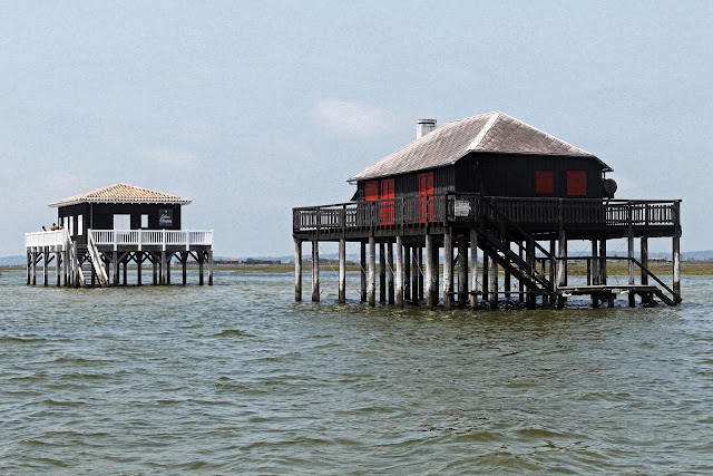 Cap Ferret