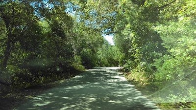 Photos of Anastasia State Park