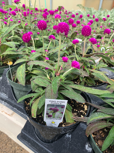 Southdale Garden Center - Thumbnail