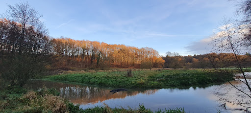 Riesebusch West - Thumbnail