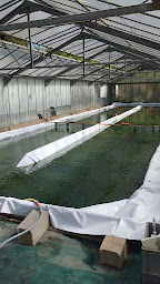 Photo n°18 de Spiruline du rocher à Roquebrune-sur-Argens (Producteur agroalimentaire)