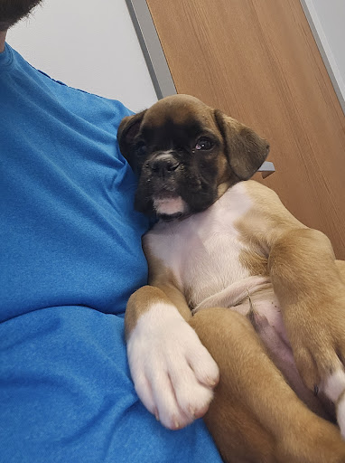 Hartschuh Veterinary Services - Thumbnail