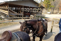 Cades Cove Riding Stables, Townsend, United States