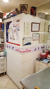 Clinica Veterinaria Corona, Author: Kevin Uthurralt