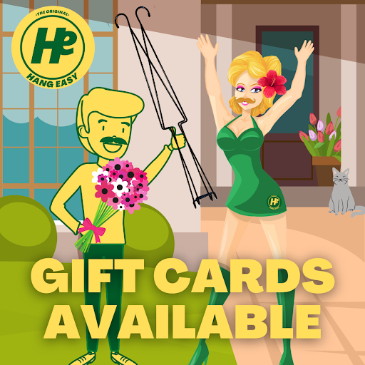 Hang Easy - Visual