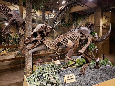 Glendive Dinosaur and Fossil Museum