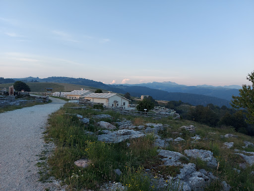 Malga Dardo - Thumbnail
